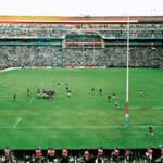 Ellis Park Stadium guide